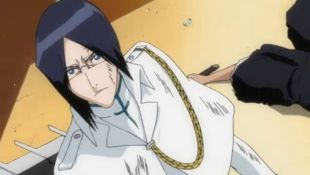 Bleach : Ishida's Strategy, 20-Second Offense and Defense