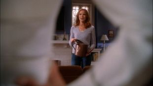 Desperate Housewives : The Lies Ill-Concealed