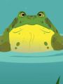 Wild Kratts : Aqua Frog