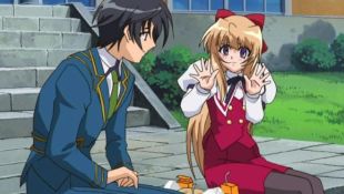 Destiny of the Shrine Maiden : Storm of the Silver Moon (2004) - |  Synopsis, Characteristics, Moods, Themes and Related | AllMovie