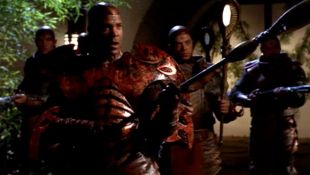 Stargate SG-1 : Maternal Instinct