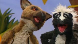 Jim Henson's Animal Show : Kangaroo / Frog