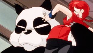 Ranma 1/2 : The Strange Stranger from China