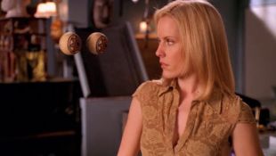 Buffy the Vampire Slayer Gone (2002) David Fury Synopsis