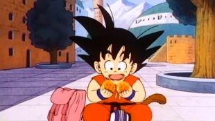 Dragon Ball : The Last Dragon Ball