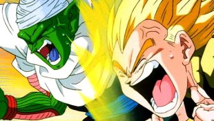 Dragon Ball Z : Feeding Frenzy