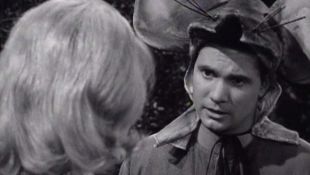 The Many Loves of Dobie Gillis : An American Strategy