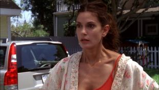 Desperate Housewives : You Could Drive a Person Crazy
