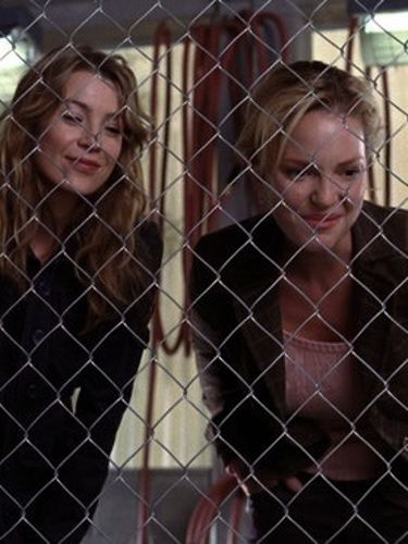 Grey S Anatomy Owner Of A Lonely Heart 2005 Daniel Minahan Synopsis Characteristics Moods Themes And Related Allmovie