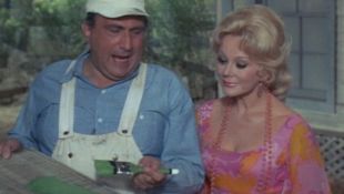 Green Acres : The Free Paint Job