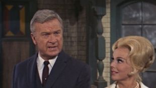 Green Acres : The Day of Decision