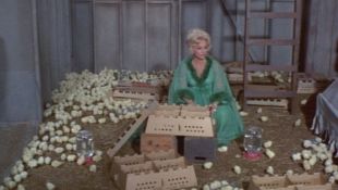 Green Acres : Everywhere a Chick Chick