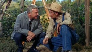 Green Acres : The Best Laid Plans