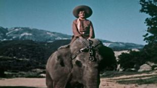 The Cisco Kid : Pancho and the Pachyderm