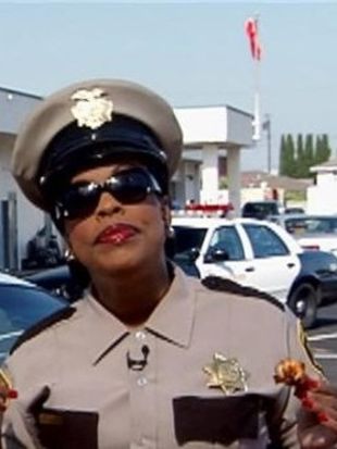 Reno 911 hulu store