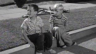 Dennis the Menace : Dennis and the Signpost