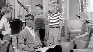 Dennis the Menace : My Four Boys