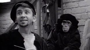 The Many Loves of Dobie Gillis : The Little Chimp That Couldn't