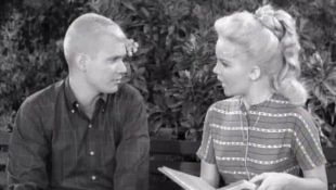 The Many Loves of Dobie Gillis : Love Is a Fallacy