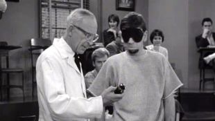 The Many Loves of Dobie Gillis : The Sweet Success of Smell