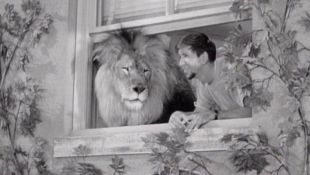 The Many Loves of Dobie Gillis : What's My Lion?