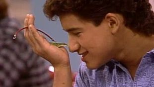 Saved by the Bell : Slater's Friend