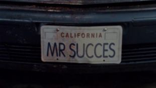 Renegade : Mr. Success
