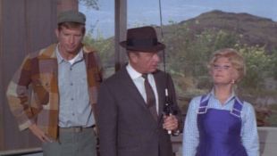 Green Acres : The Liberation Movement