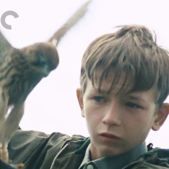 Kes (1969) - Ken Loach | Synopsis, Characteristics, Moods, Themes and ...