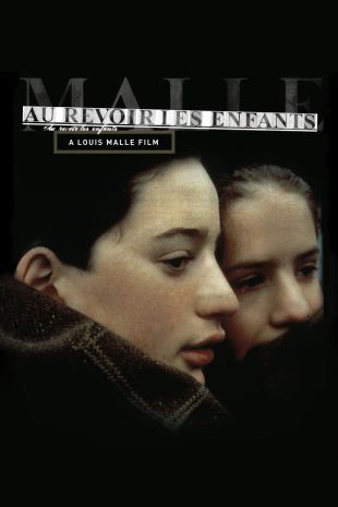 Louis Malle films, DVD Rental