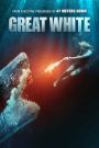 Great White