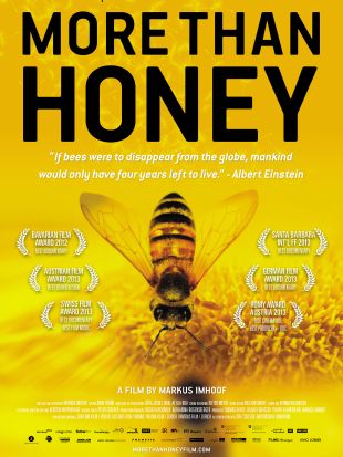 More Than Honey