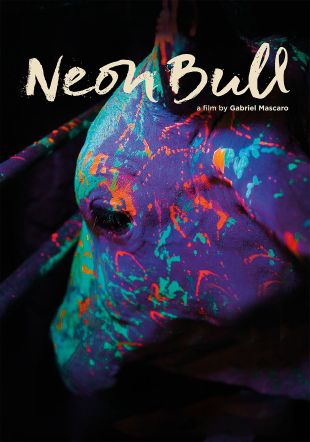 Neon Bull