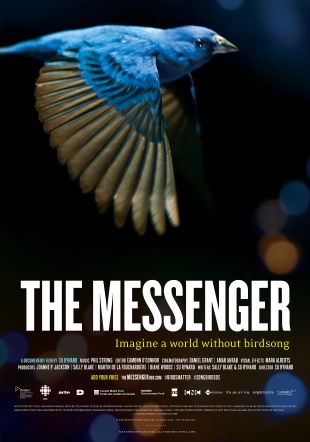 The Messenger