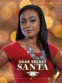 Dear Secret Santa