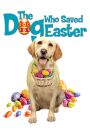 The Dog Who Saved Easter