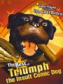 Best of Triumph the Insult Comic Dog