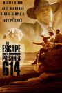 The Escape of Prisoner 614