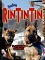 Finding Rin Tin Tin