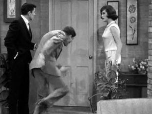 The Dick Van Dyke Show : The Lady and the Tiger and the Lawyer