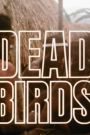 Dead Birds