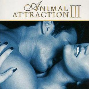 Animal Attraction III