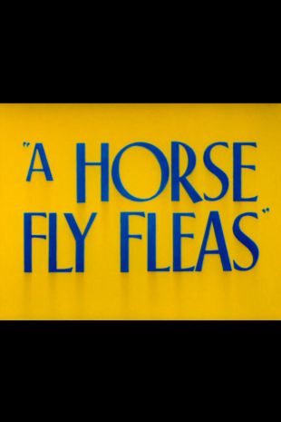 A Horsefly Fleas