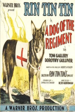 Dog of the Regiment