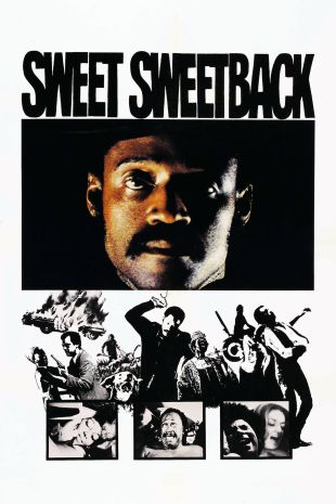 Sweet Sweetback's Baad Asssss Song