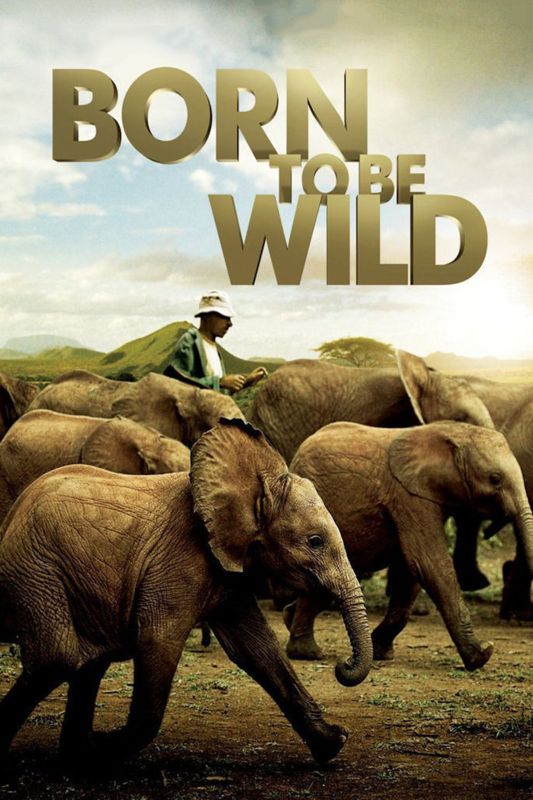 Born To Be Wild Movie 2011 Download Born to Be Wild (2011) - David Lickley | Synopsis, Characteristics