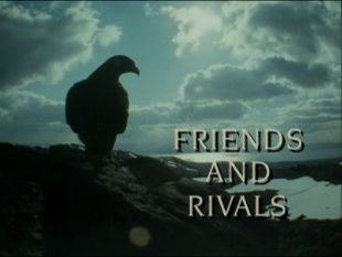 The Trials of Life : Friends and Rivals