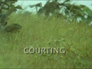The Trials of Life : Courting