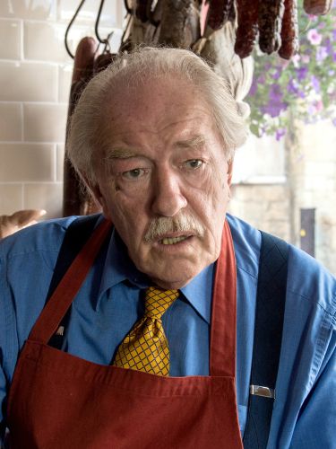 Michael Gambon (born 1940) naked (69 gallery), Is a cute Ass, Twitter, braless 2015