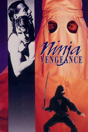 Ninja Vengeance